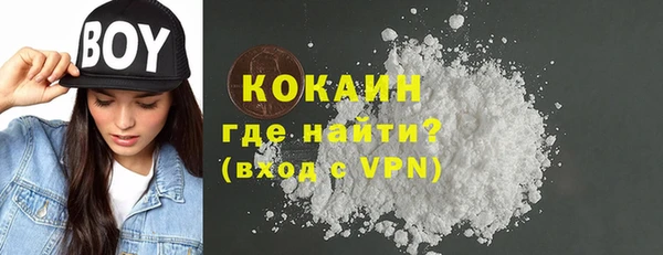 apvp Алексин