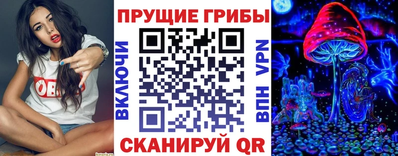 закладки  Лесной  OMG как зайти  Галлюциногенные грибы мицелий 