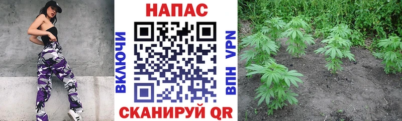 Каннабис THC 21% блэк спрут ТОР Лесной